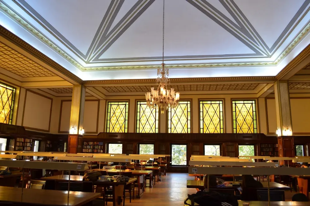 تاریخچه و هویت دانشگاه دانشگاه استانبول