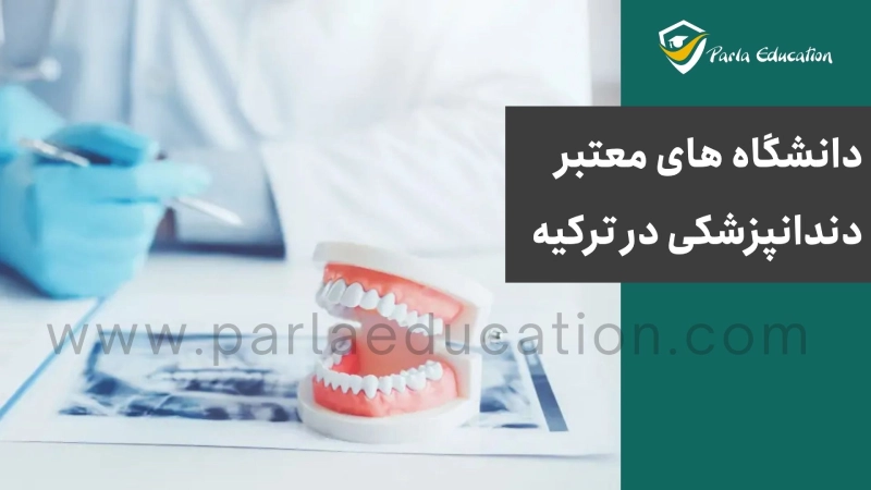 دانشگاه های معتبر دندانپزشکی در ترکیه